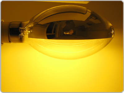 2 x HPS reflectorlamp 600W, bloei, 400 volt